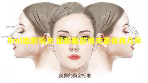 8ml脂肪填充 面部脂肪填充能保持几年